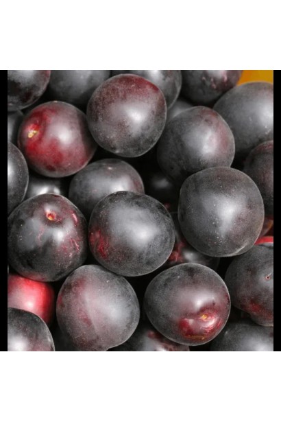 Стиглі плоди абрикоса Чорний Персиковий крупним планом